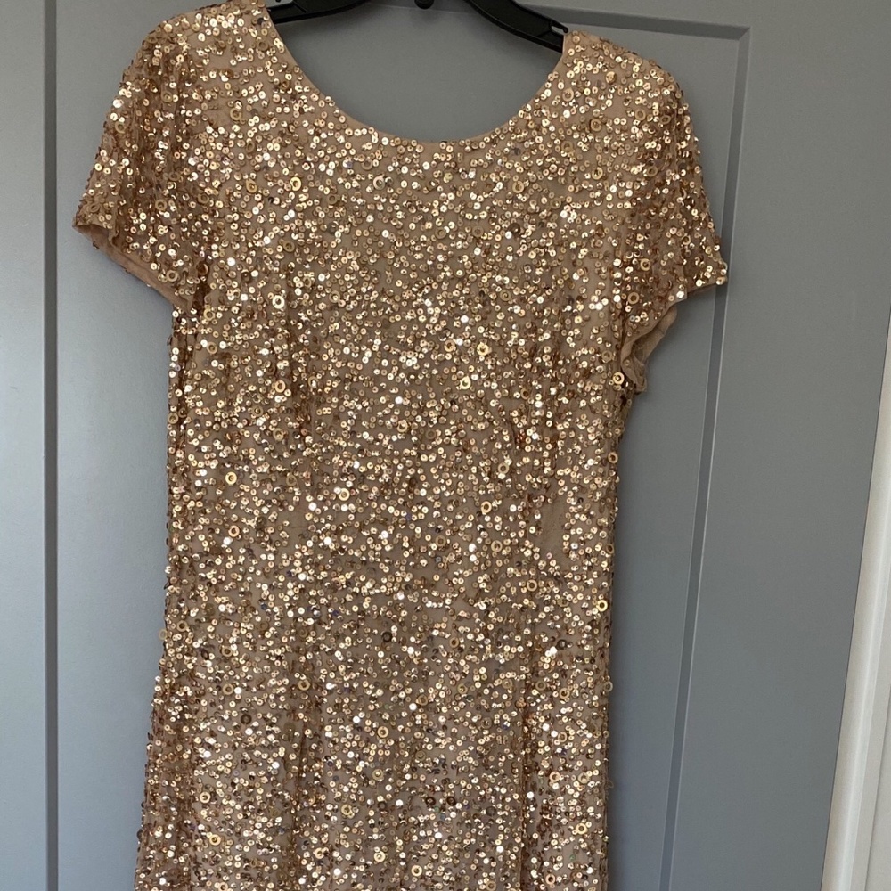 Adrianna Papell evening gown, short train